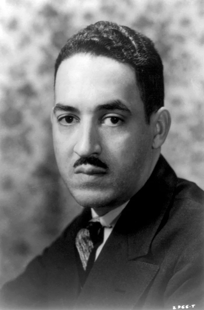 Portrait of Justice Thurgood Marshall